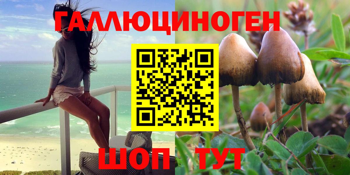 Галлюциногенные грибы Psilocybine cubensis Сланцы
