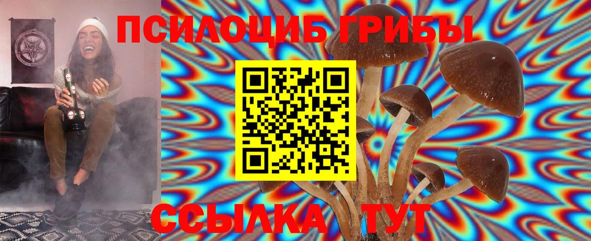 купить   Псилоцибиновые грибы Cubensis  Вход с VPN  Псилоцибиновые грибы Magic Shrooms  Сланцы 